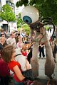 ORBILYS_026