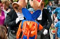 AQUA_SWING_BAND_005